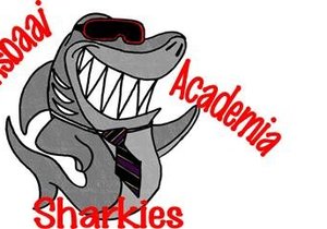 Academia wys haaitande