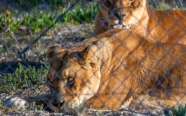 75576500_10157784961167790_5729693016625512448_n_1574663889