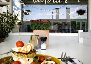 New On The Menu: Zucchini Corn Fritters