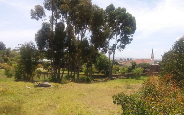 seeff_napier_property_additional_1574686258