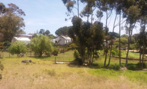 R500,000 | 1,272m² Vacant Land For Sale in Napier