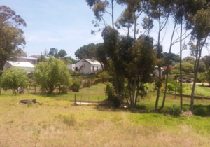 R500,000 | 1,272m² Vacant Land For Sale in Napier