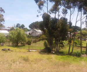 R500,000 | 1,272m² Vacant Land For Sale in Napier