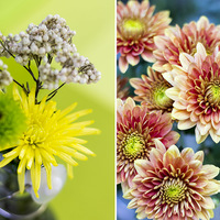 Agulhas - Tolbos Struisbaai - Attention To Detail