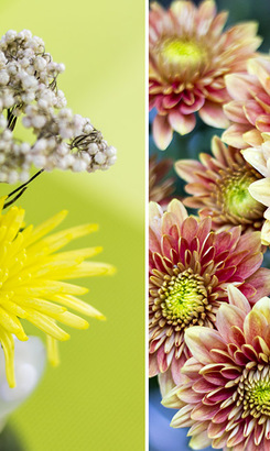 struisbaai_restaurants_tolbos_struisbaai_attention_to_detail_1574755595