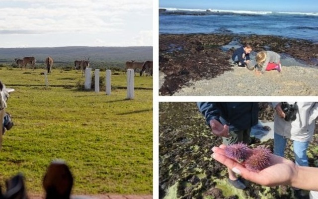 de_hoop_add_image_1_1574775360 de_hoop_add_image_1_1574775360