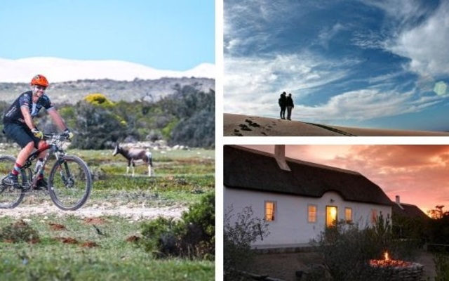 de_hoop_add_image_2_1574775360 de_hoop_add_image_2_1574775360