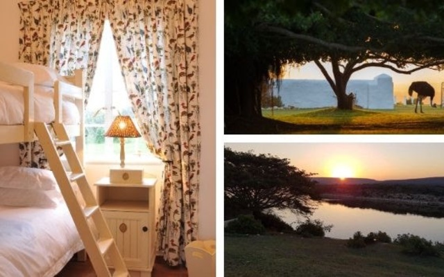 de_hoop_add_image_4_1574775362 de_hoop_add_image_4_1574775362