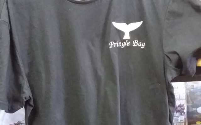 WhatsApp_Image_2019_11_27_at_11.28.37_1574860751