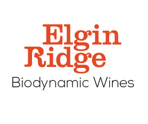 What's happening at Wine and Co. 29 November 2019