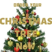 Order Your Christmas Tree