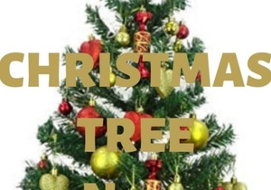 Order Your Christmas Tree