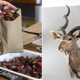 Self Service Station - Jan Biltong t/a Suidwes Biltong - Xplorio™ Kleinmond