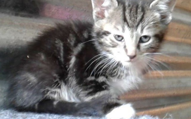 IMG_20191120_WA0006_2_1575020947