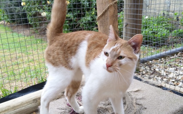 IMG_20190317_103726_1575021249