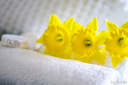 hermanus_laundry_services_washing_ways_laundry_house_freshly_washed_1566369051_1575032247
