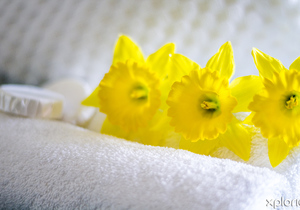 Why use Professionals for your Industrial Laundry Services?