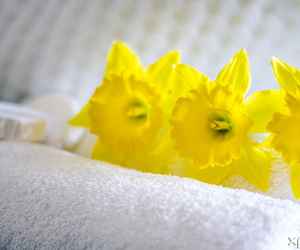 Why use Professionals for your Industrial Laundry Services?