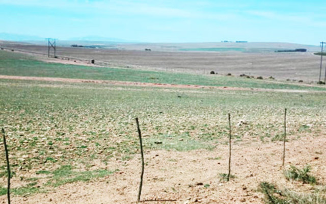 unnamed_20__1575287131