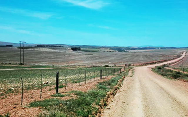 unnamed_21__1575287131