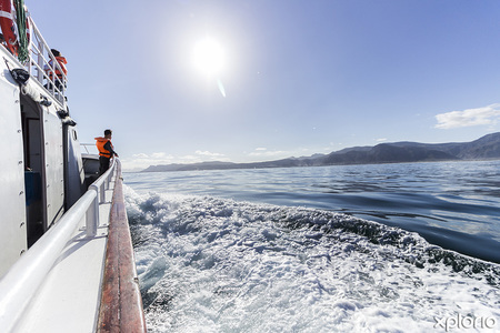 hermanus_things_to_do_whale_watching_hermanus_whale_cruises_boat_cruise_in_style_1567406290_1575444222