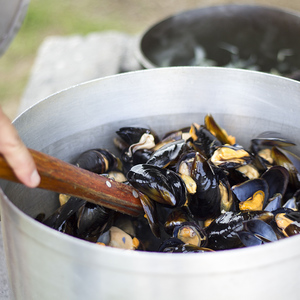 hermanus_restaurant_de_vette_mossel_messels_in_shell_1551175344_1575523508