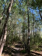 New MTB Trails Opening - 16 December 2019