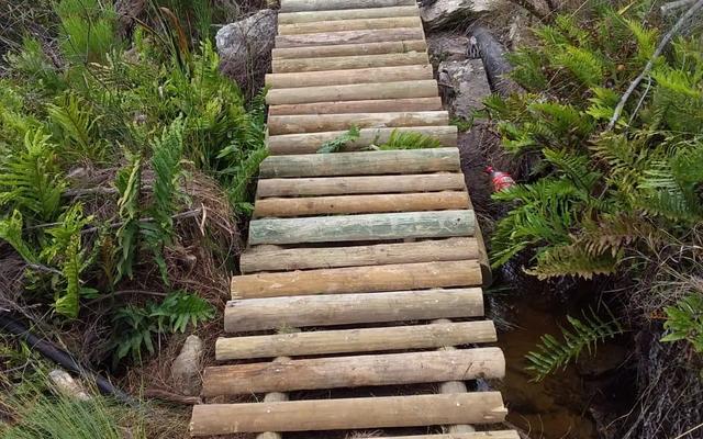 WhatsApp_Image_2019_12_11_at_06.18.47_1__1576060872