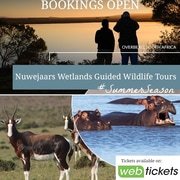 Nuwejaars Wetlands Safari - Guided Tours