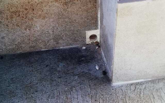 WhatsApp_Image_2019_12_09_at_06.32.21_3_1575891935