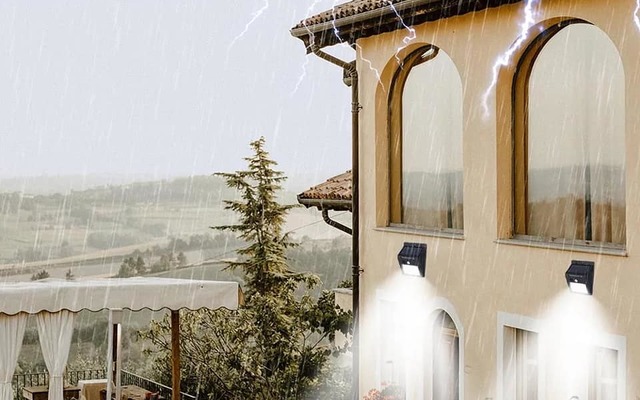 78894428_1522605637896890_7445947637276082176_n_1575963049