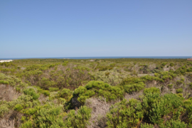 1200 m² Residential Vacant Land For Sale In Romansbaai Estate