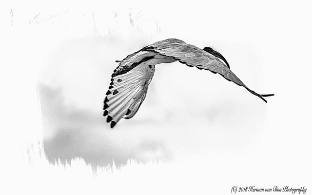 photographic_in_flight_1542797143_1576758980 photographic_in_flight_1542797143_1576758980