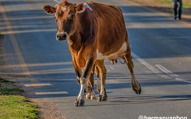 18aug19rushhour1_1577099065