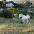 Top Attractions in Napier Top Attractions in Napier