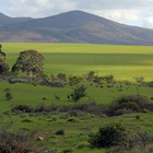 Landscape - Napier Landscape - Napier