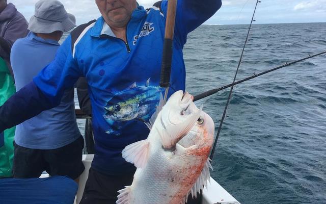 WhatsApp_Image_2019_12_24_at_09.30.18_1577181427 WhatsApp_Image_2019_12_24_at_09.30.18_1577181427