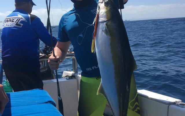 WhatsApp_Image_2019_12_24_at_09.30.18_1__1577181427 WhatsApp_Image_2019_12_24_at_09.30.18_1__1577181427