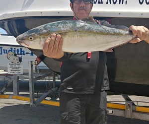 Recent Fishing Charter Trips