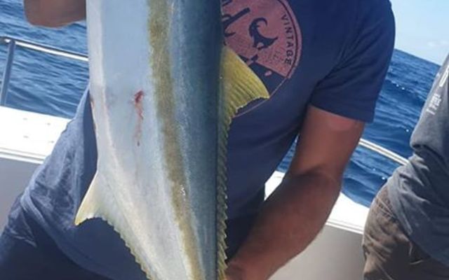 81728559_3002956926404450_4167053424644325376_o_1578297786