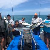 Fishing Trip - Awesome Charters - Agulhas/Struisbaai