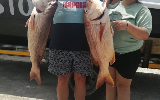 81555348_3009324919100984_7433475301356601344_n_1578461816 81555348_3009324919100984_7433475301356601344_n_1578461816