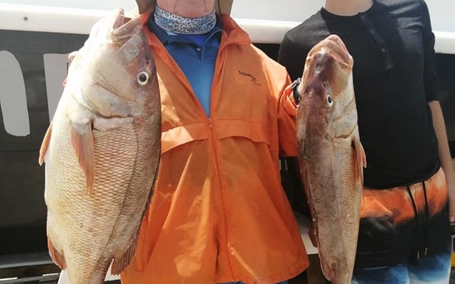 82307423_3009324775767665_1518823125901377536_n_1578461815 82307423_3009324775767665_1518823125901377536_n_1578461815