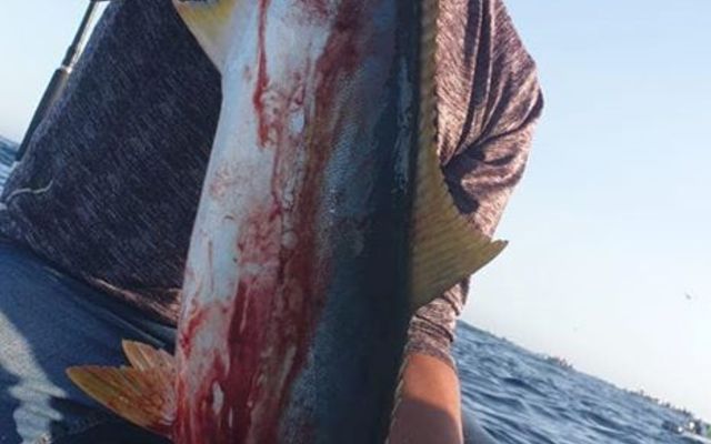 82732558_3023040604396082_8520792370222989312_o_1578895101