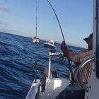 Worcester Men - Cape Agulhas Charters and Accommodation