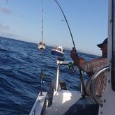 Worcester Men - Cape Agulhas Charters and Accommodation