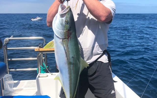 WhatsApp_Image_2020_01_11_at_18.24.26_1578906632 WhatsApp_Image_2020_01_11_at_18.24.26_1578906632