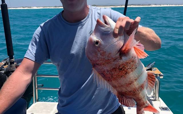 WhatsApp_Image_2020_01_11_at_18.24.30_1_1578906634 WhatsApp_Image_2020_01_11_at_18.24.30_1_1578906634