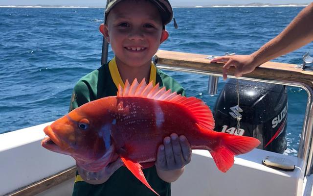 WhatsApp_Image_2020_01_11_at_18.24.31_1578906635 WhatsApp_Image_2020_01_11_at_18.24.31_1578906635