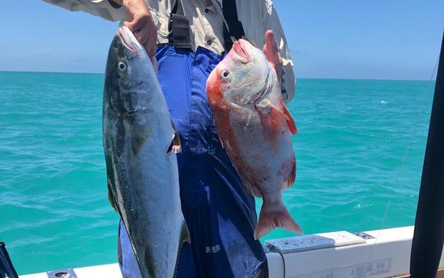 WhatsApp_Image_2020_01_11_at_18.24.32_1578906635 WhatsApp_Image_2020_01_11_at_18.24.32_1578906635